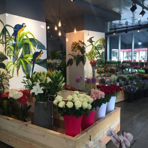 Fleuriste Paris 16ème - Paris 16ème arrondissement, Août 2017